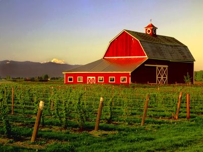 Barn