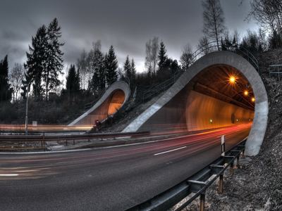 Tunnel